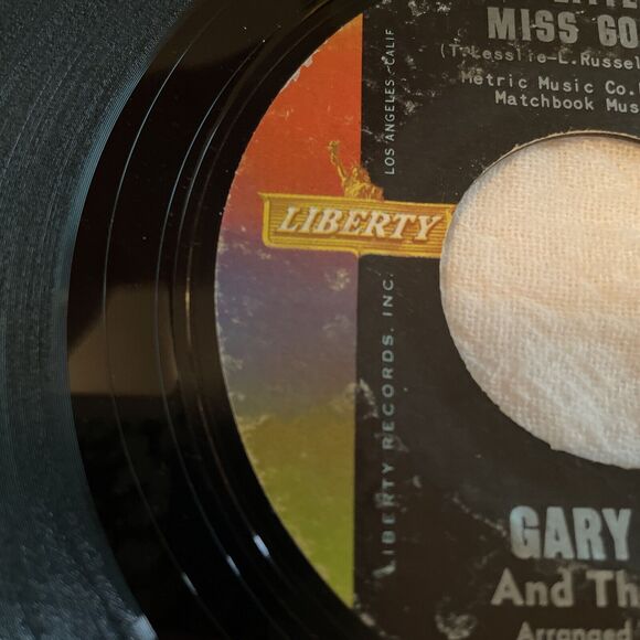 Gary Lewis and the Playboys Little Miss Go-Go / Count Me In 45RPM 1965 Liberty - Picture 3 of 12